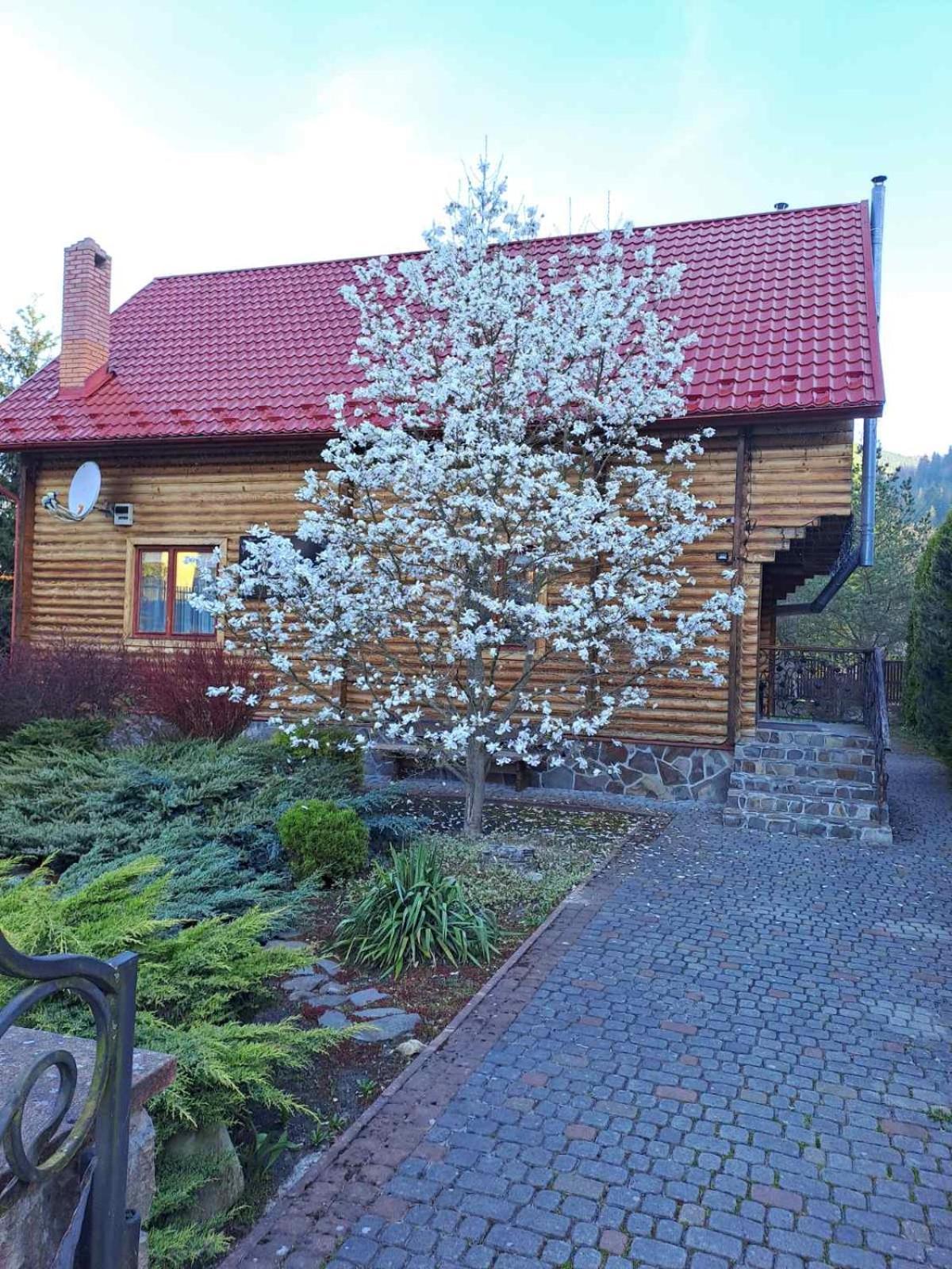 타타리브 Magnolia 빌라 외부 사진